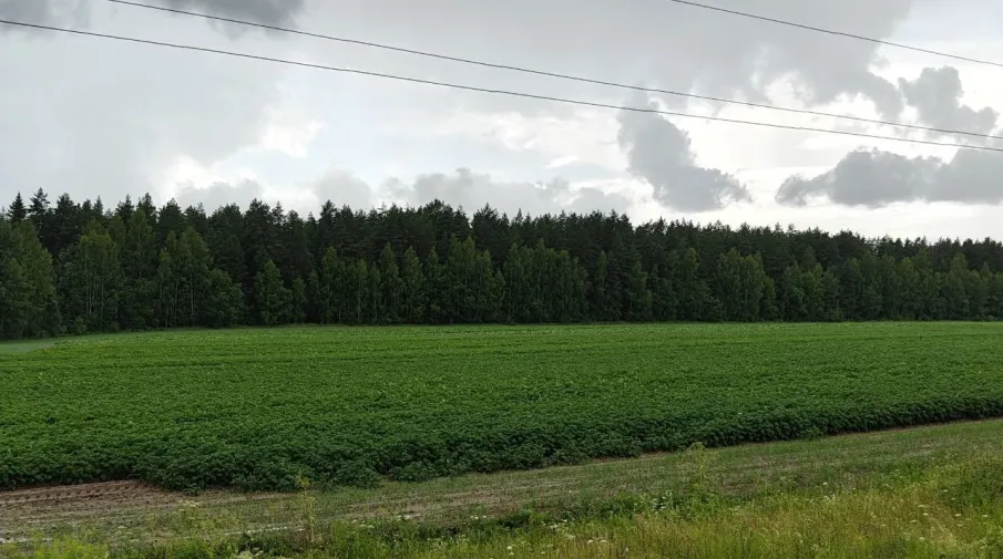 Посевная кампания в Нижегородской области завершена
